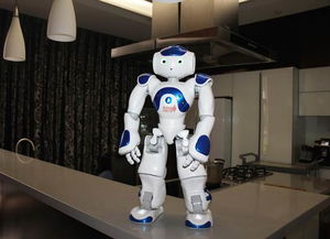 HDL智能机器人控制体验来袭北京智能展